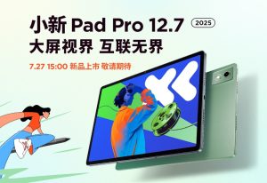 42.-Xiaoxin-Pad-Pro-12.7-